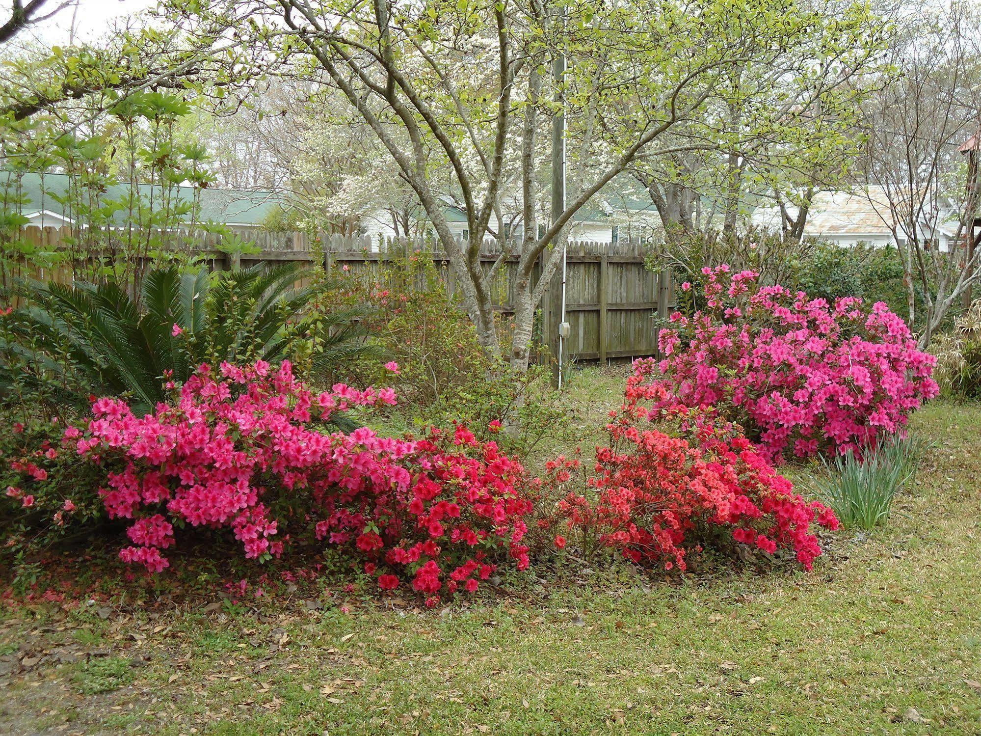 Edenfield House Bed & Breakfast Swainsboro Eksteriør bilde
